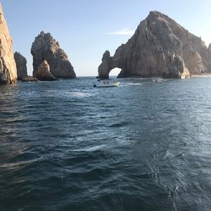 Meet your Posher, Elsa